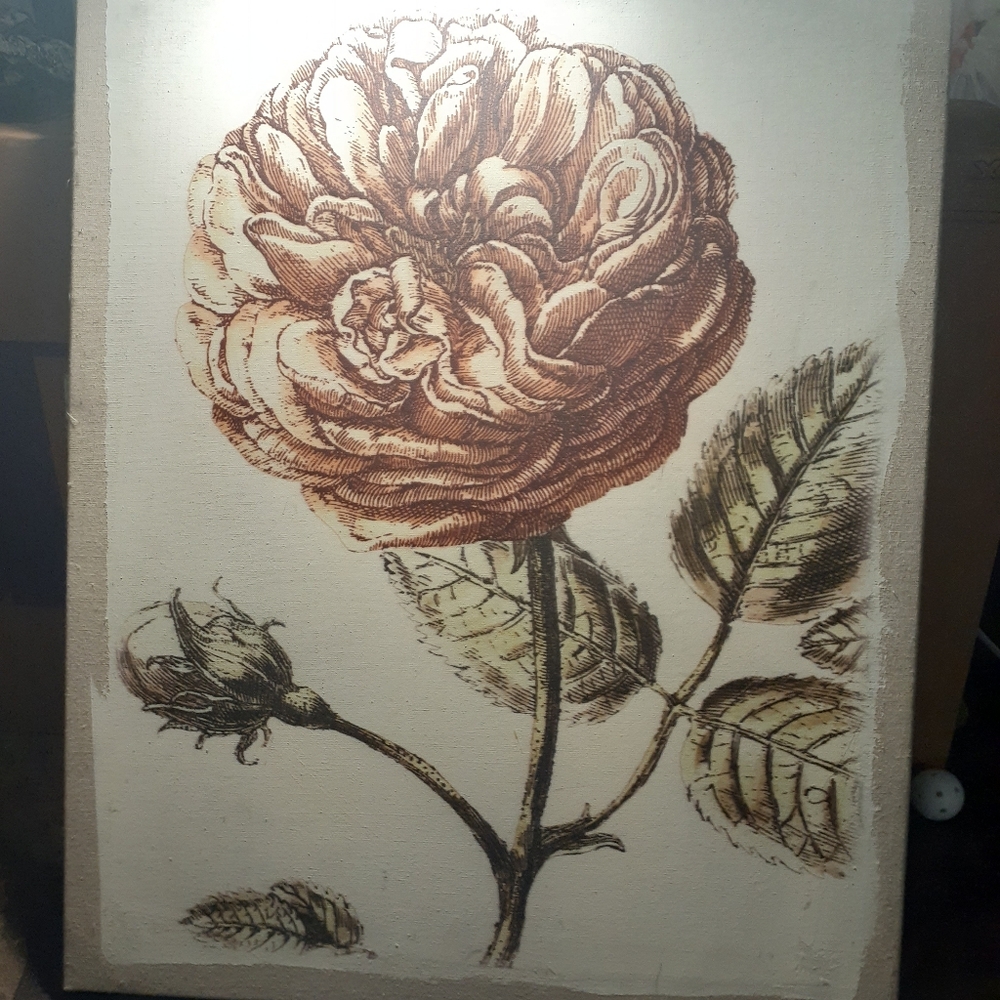 Stunning Painting of A Flower
